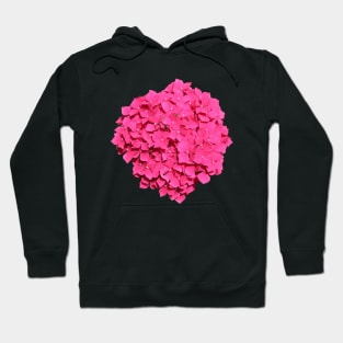 Mop Head Pink Hydrangea Hoodie